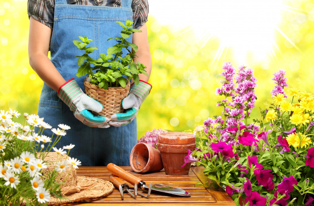 Gardener wearing gloves in garden