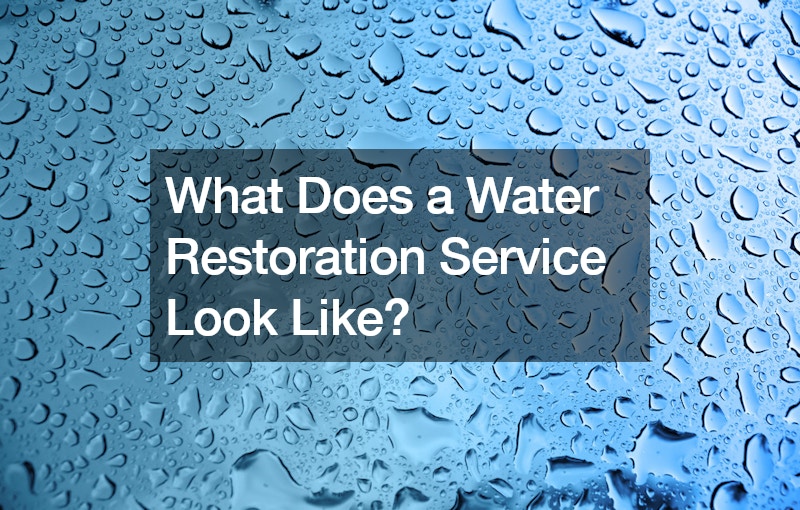 What Does a Water Restoration Service Look Like?