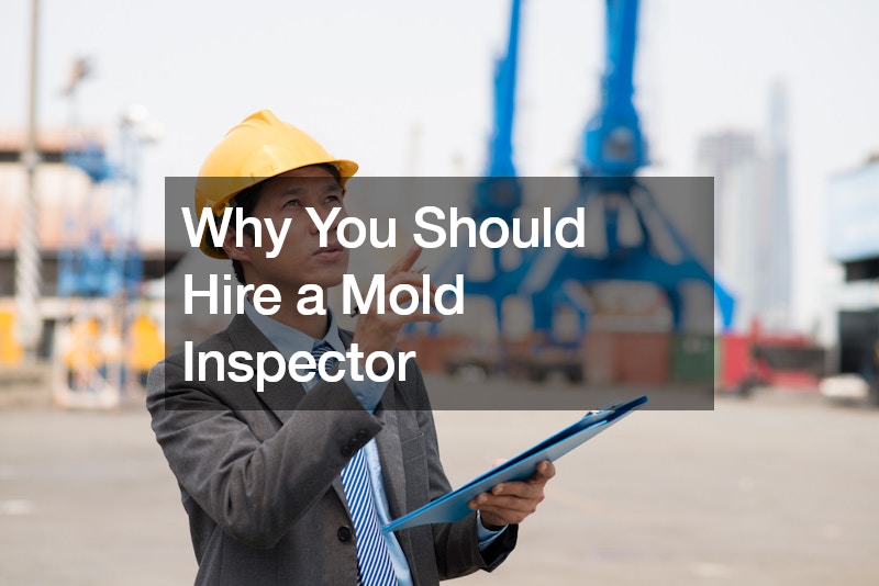 Why You Should Hire a Mold Inspector