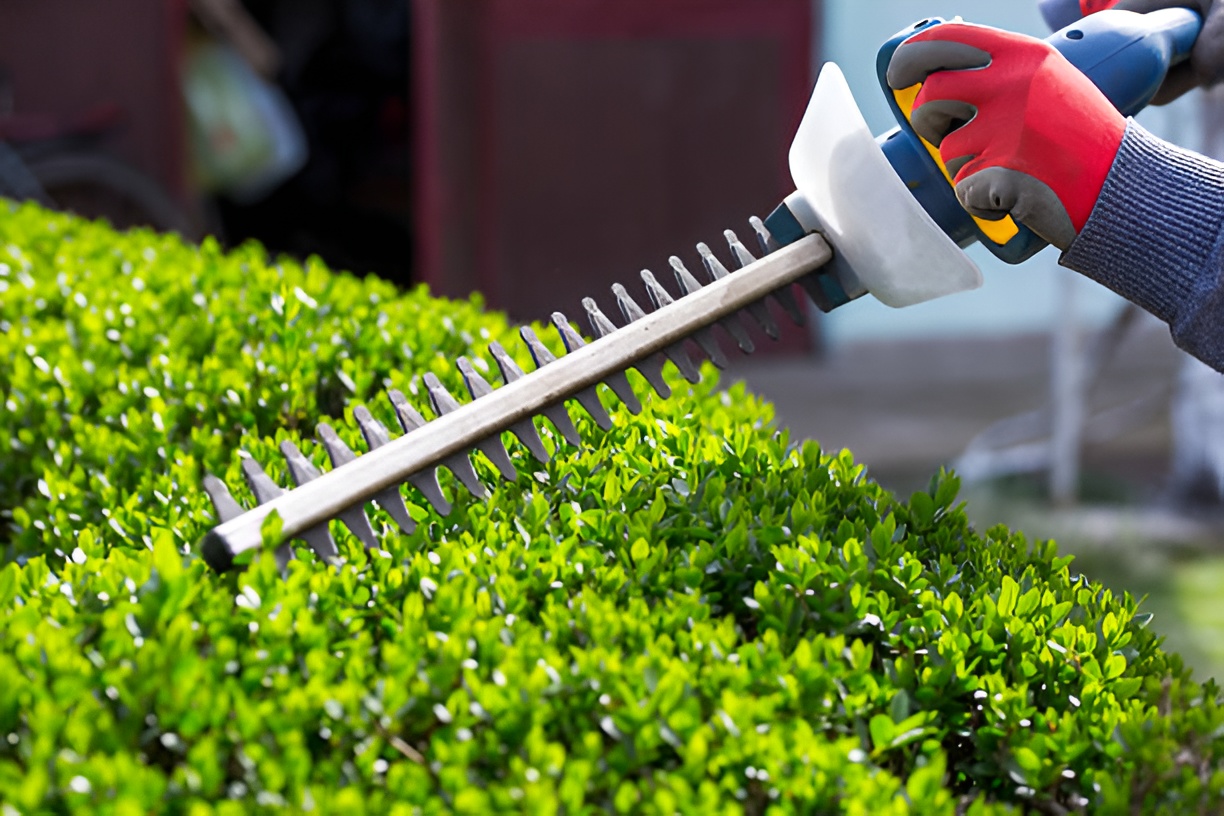 close-up of a person using an electric hedge trimmer